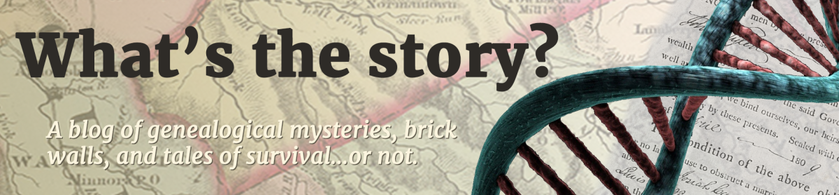 What's the Story?