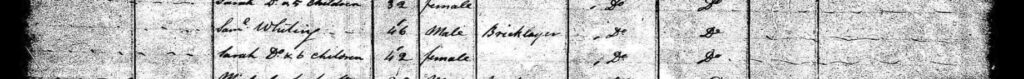 Whiting Immigration Record Snip